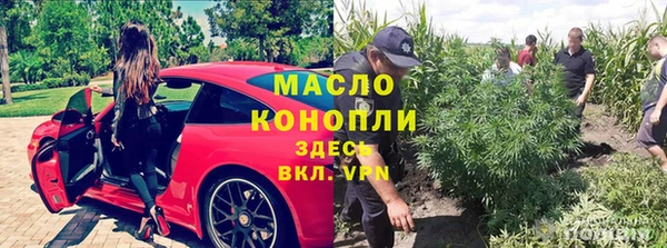 дмт Павлово