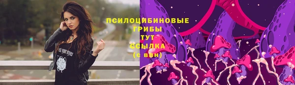 дмт Павлово