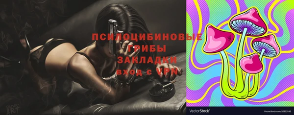 эйфоретик Павловск