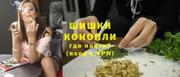 эйфоретик Павловск