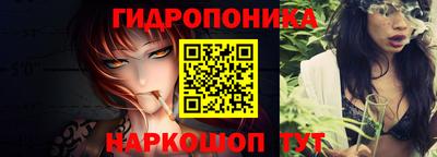 индика Абакан