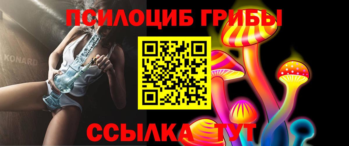 где найти наркотики  Псилоцибиновые грибы Magic Shrooms  Вход с VPN  Россия 
